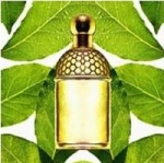 Figue Iris   Aqua Allegoria  Guerlain