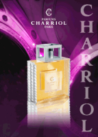 Charriol Pour Homme