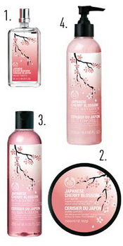 Japanese Cherry Blossom