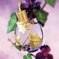 he First Feminine Fragrance     (Annick Menardo). ,    ,     , 